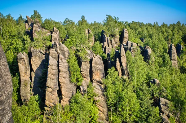 Скалы в лесу — стоковое фото