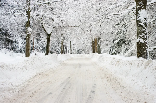 Estrada durante o inverno — Fotografia de Stock