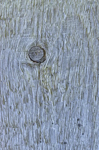 Old gray plank — Stock Photo, Image