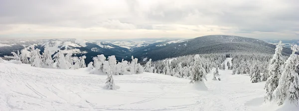 Panorama na encosta da montanha Snieznik — Fotografia de Stock