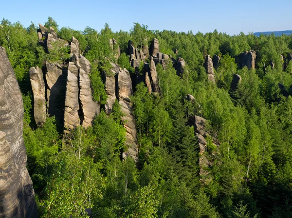 Скелі в лісі — стокове фото