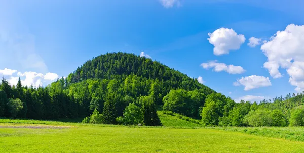 Einsamer Hügel — Stockfoto