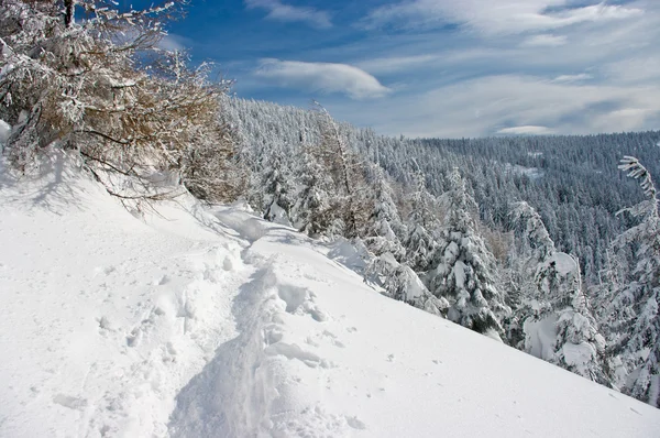 Wzgórza pokryte przez śnieg — Zdjęcie stockowe