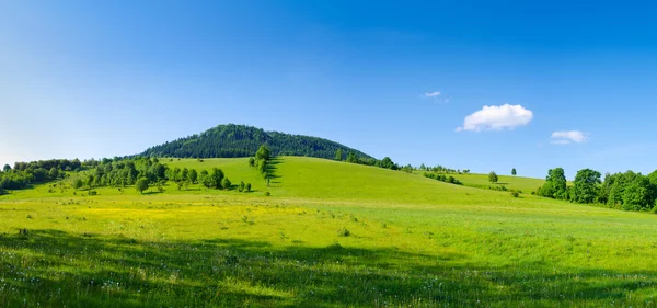 Панорама с холмом — стоковое фото