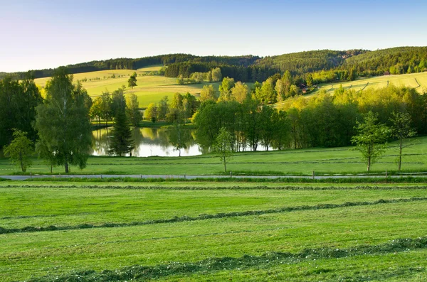 Jordbruks landskap med damm — Stockfoto