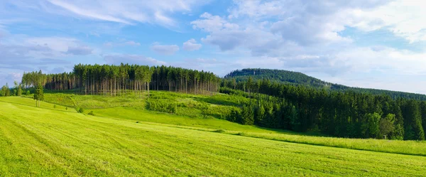Panorama con foresta — Foto Stock
