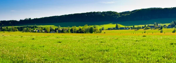 Spring panorama with village — Stock Photo, Image