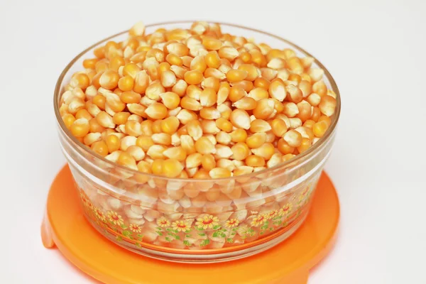 Maize or corn — Stock Photo, Image