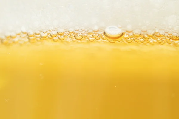 Bier auf weißem Hintergrund — Stockfoto