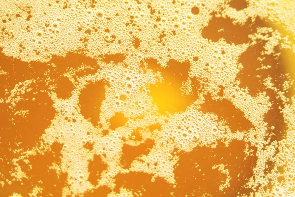 Bier auf weißem Hintergrund — Stockfoto
