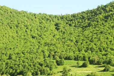 Altai dağlarındaki güzel göl