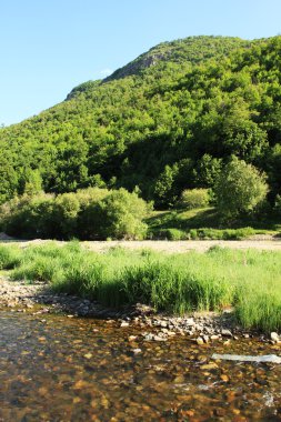 Altai dağlarındaki güzel göl