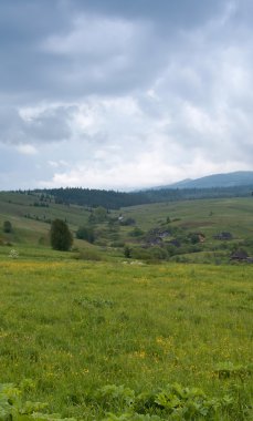 Karpat Dağları (Ukrayna)