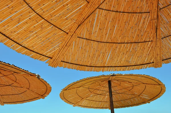 stock image Umbrellas under the blue sky