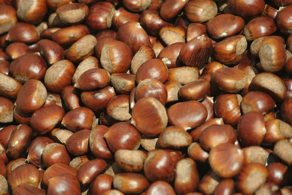 Stock image Chestnuts background