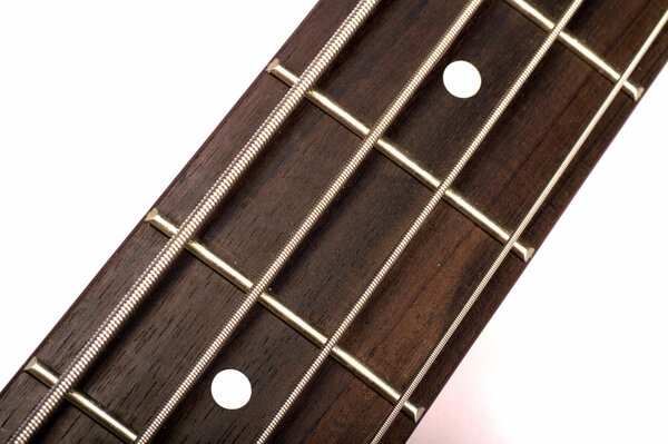 Bass guitar cords detail macro soft focus.