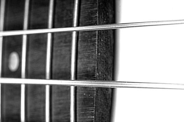 Basová kytara šňůry blízko nahoru — Stock fotografie