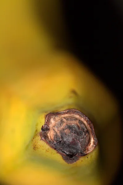 Macro banane — Photo