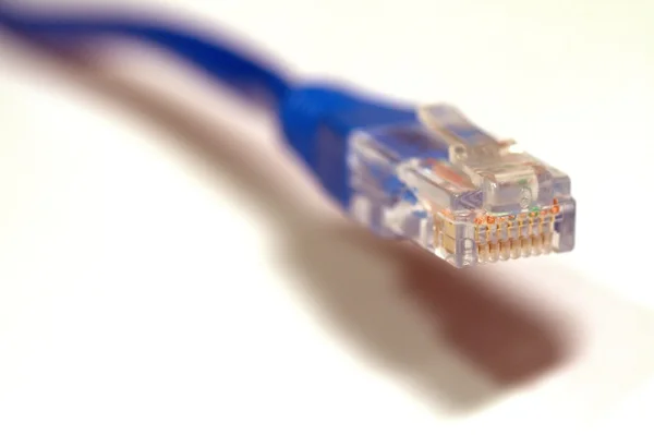 Modrý kabel ethernet — Stock fotografie