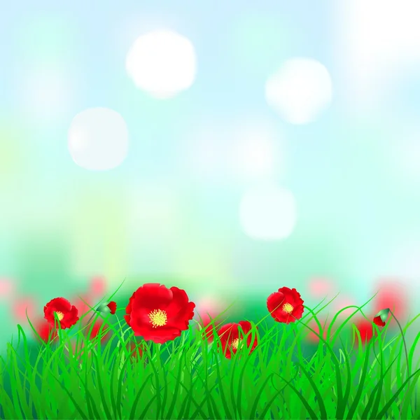 Die roten Mohnblumen — Stockvektor