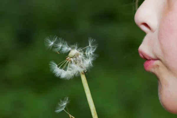 stock image Child with dandelion