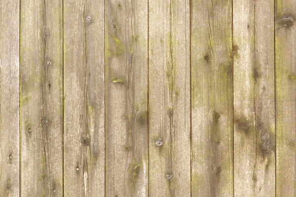 Wooden front texture — Stock Photo, Image