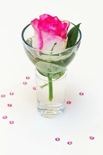 Rose with decoration — Stock Photo, Image