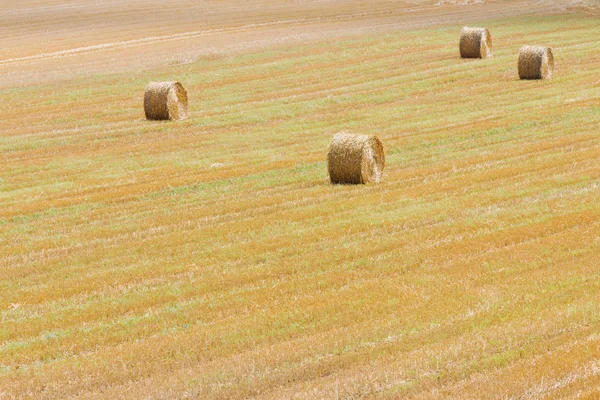 Тюки соломы на поле — стоковое фото