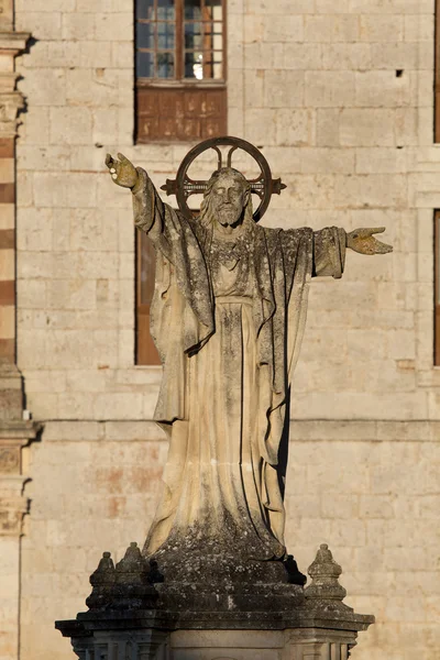 修道院的圣佩德罗 de arlanza，布尔戈斯，卡斯蒂利亚 y leon，反腐倡议 — 图库照片