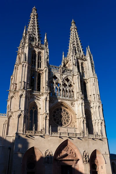Katedralen i burgos, castilla y leon, Spanien — Stockfoto