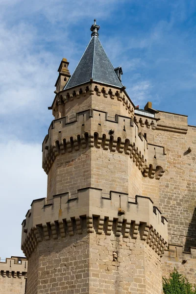 Castillo de Olite, Navarra, España — Foto de Stock