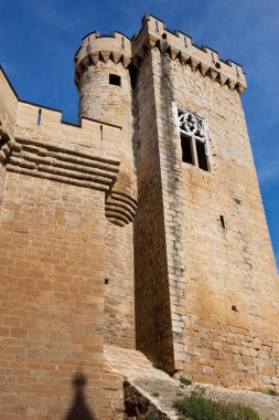 Olite Kalesi, navarra, İspanya