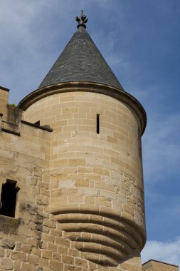 Olite Kalesi, navarra, İspanya