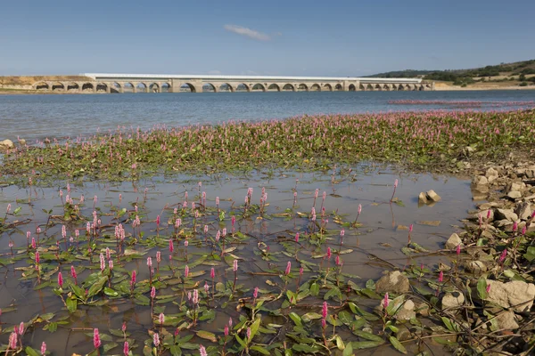 Ebro reservoir, Burgos, Castilla y Leon, Spagna — Foto Stock