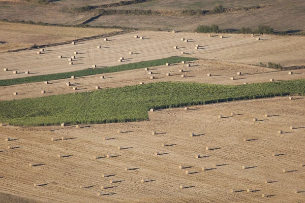 stock image Countryside, Gayangos, Las Merindades, Burgos, Castilla y Leon,