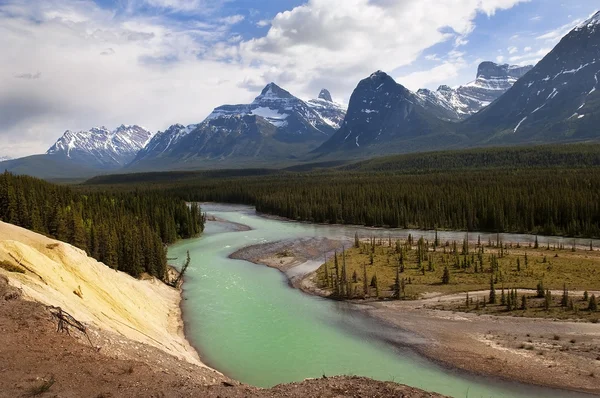 Řeka v kanadských Skalistých hor — Stock fotografie