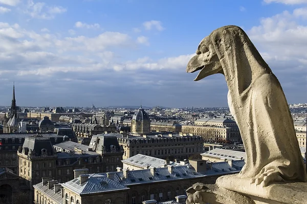 Chimere of Notre-Dame — Stock Photo, Image