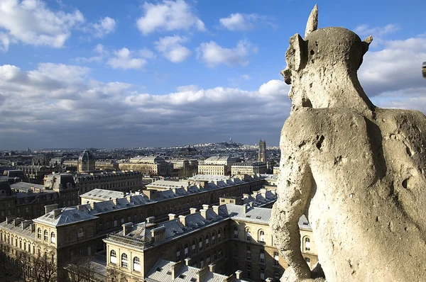 Chimere de pedra de Notre-Dame — Fotografia de Stock