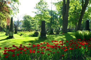 Old cemetery in Oslo clipart