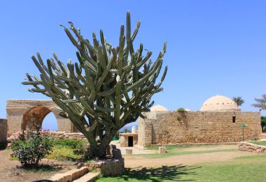 Achziv - national park , israel clipart