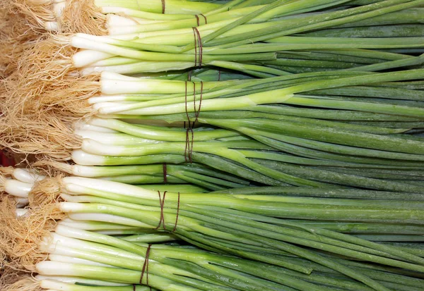 Bunches of green onions — Stock Photo, Image