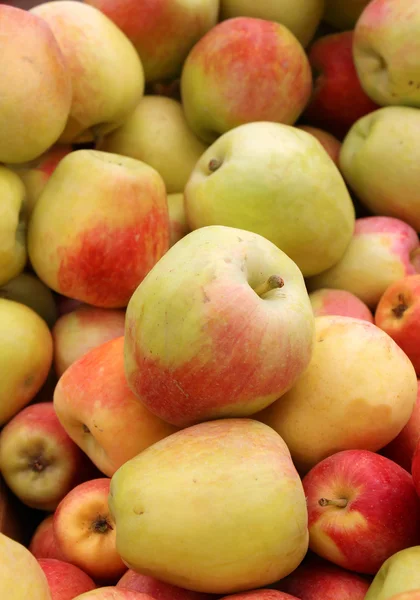 Dojrzałe jabłka świeże — Zdjęcie stockowe