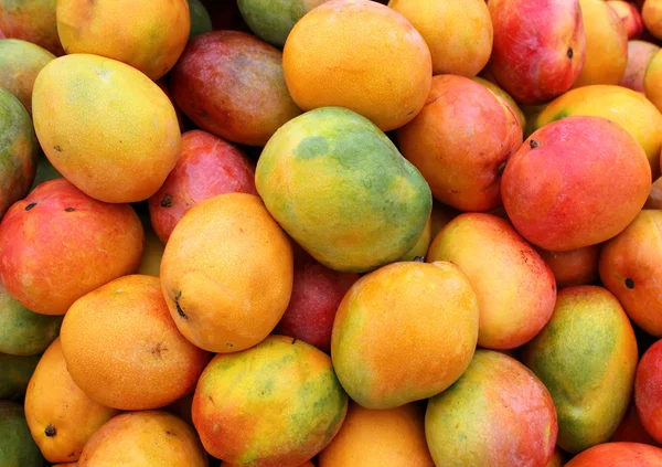 Dojrzałe owoce mango — Zdjęcie stockowe