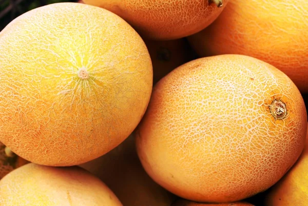 Żółty melon — Zdjęcie stockowe