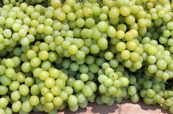 Bunches of white grapes — Stock Photo, Image