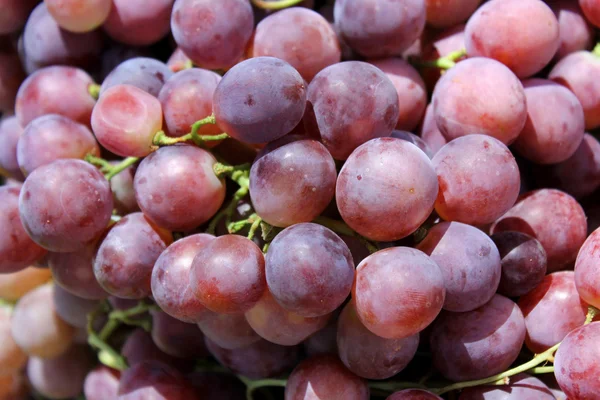 Rode druiven — Stockfoto