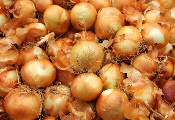 stock image Harvest onions