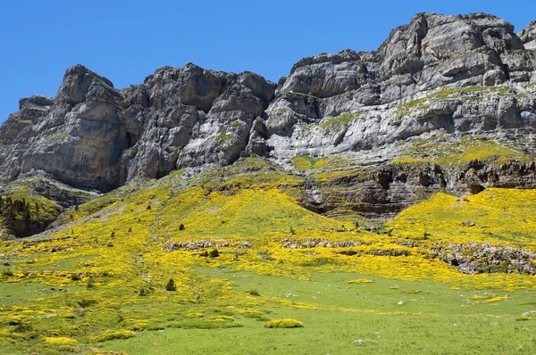 Пейзаж в Пиренеях, Испания — стоковое фото