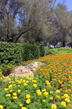 Picturesque area in the Park Ramat Hanadiv, Israel clipart