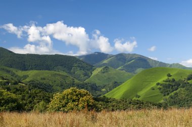 içinde Fransızca pyrenees dağ çayırları